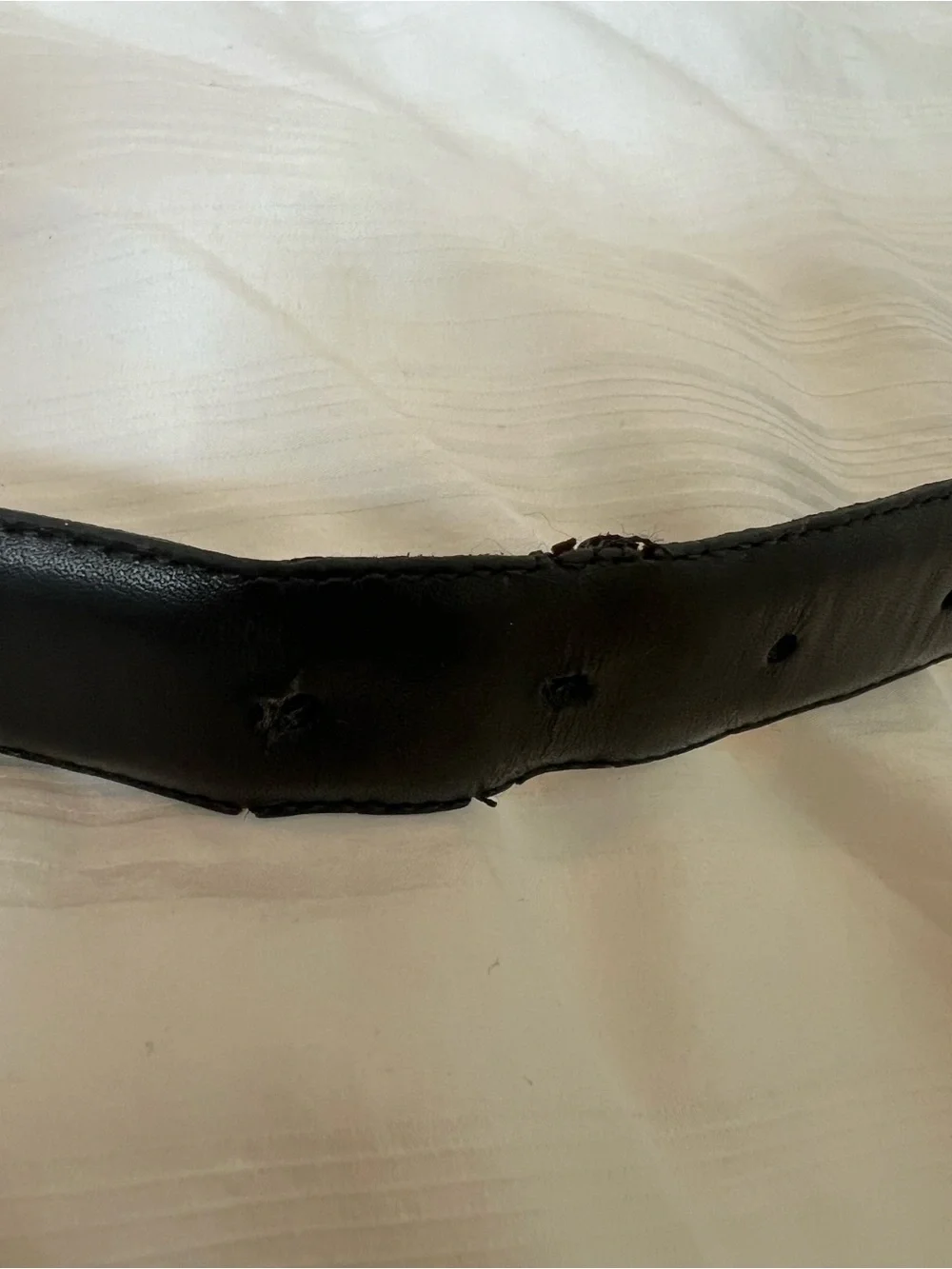 Coach Classic Black Leather Belt with Gold Buckle - Men's Accessory